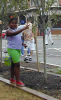 Women's Community Revitalization Project garden