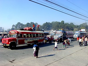 Chicken buses